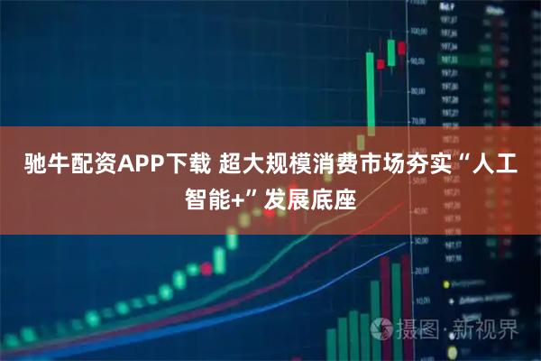 驰牛配资APP下载 超大规模消费市场夯实“人工智能+”发展底座